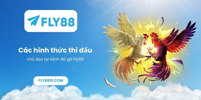 Các hình thức thi đấu chủ đạo tại sảnh đá gà Fly88