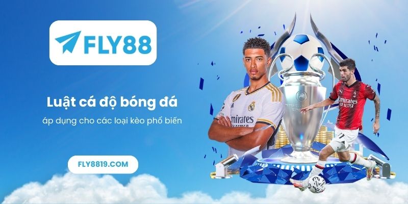 Luật cá độ bóng đá áp dụng cho các loại kèo phổ biến