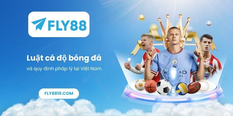 Luật cá độ bóng đá và quy định pháp lý tại Việt Nam