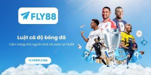 Luật cá độ bóng đá_ Cẩm nang cho người chơi cá cược tại Fly88